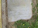 image of grave number 883790